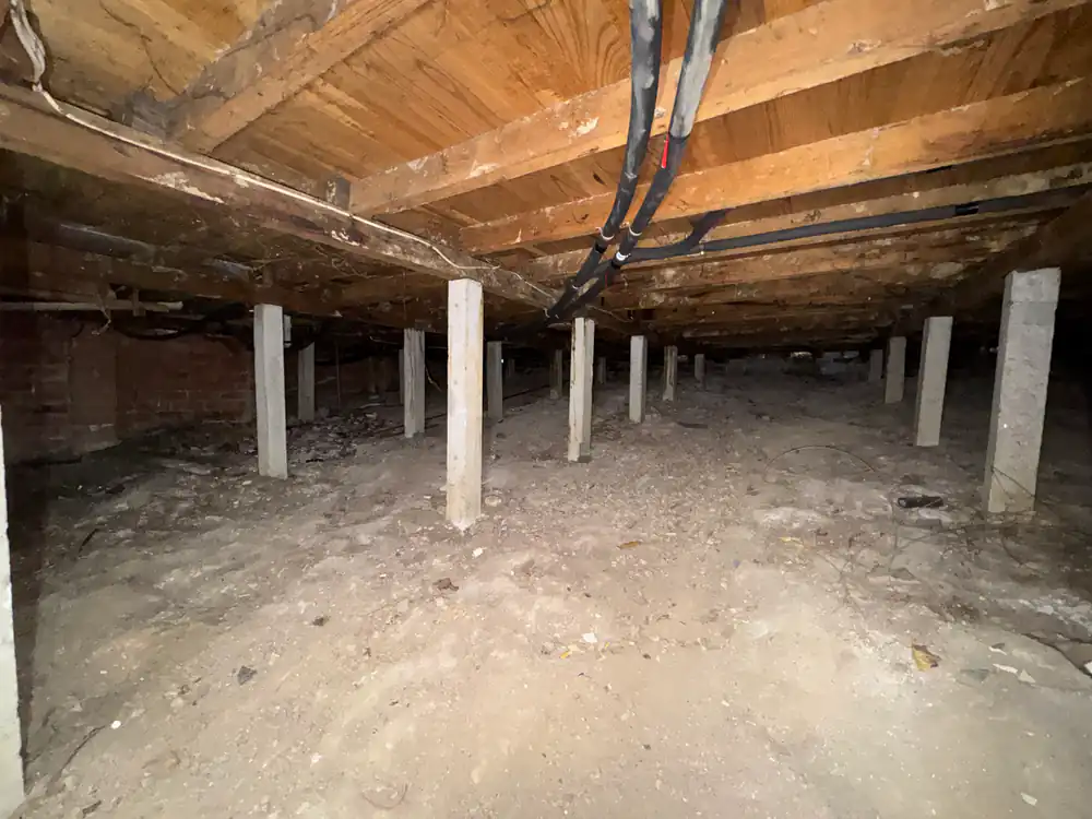 Timber subfloor framing supported on stumps above bare ground.