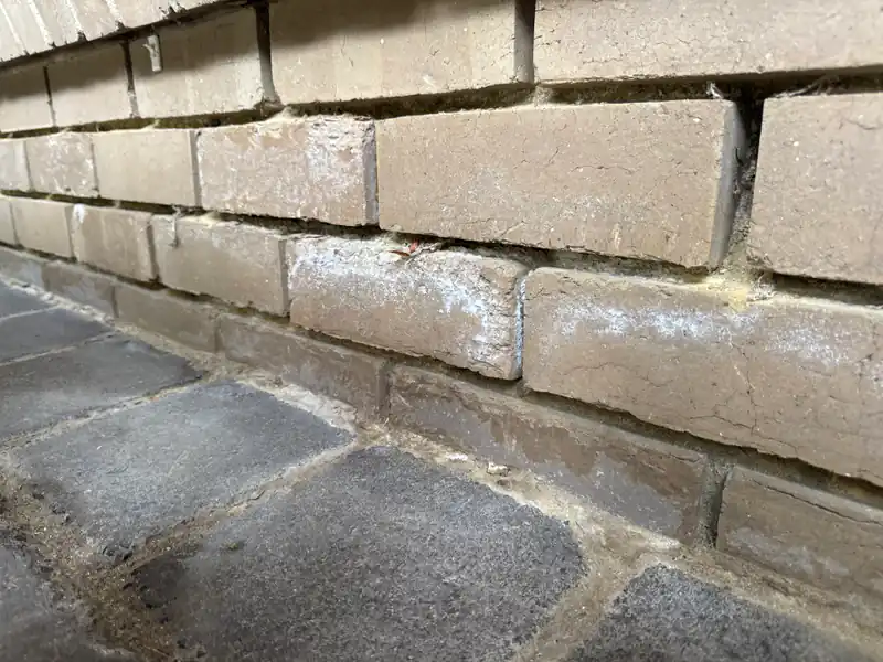 Open joints and surface deposits in masonry.
